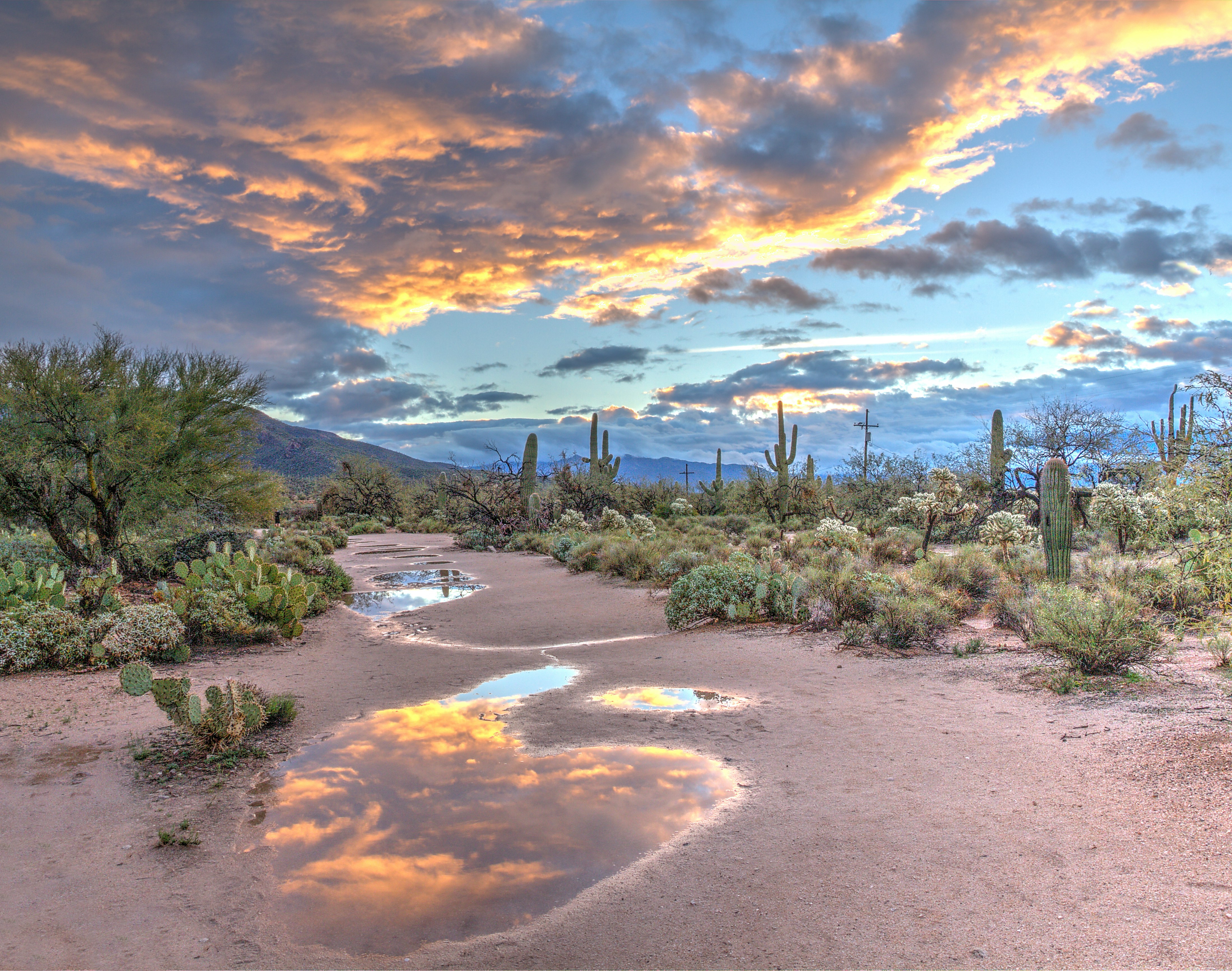 Arizona — Arizona sales tax guide