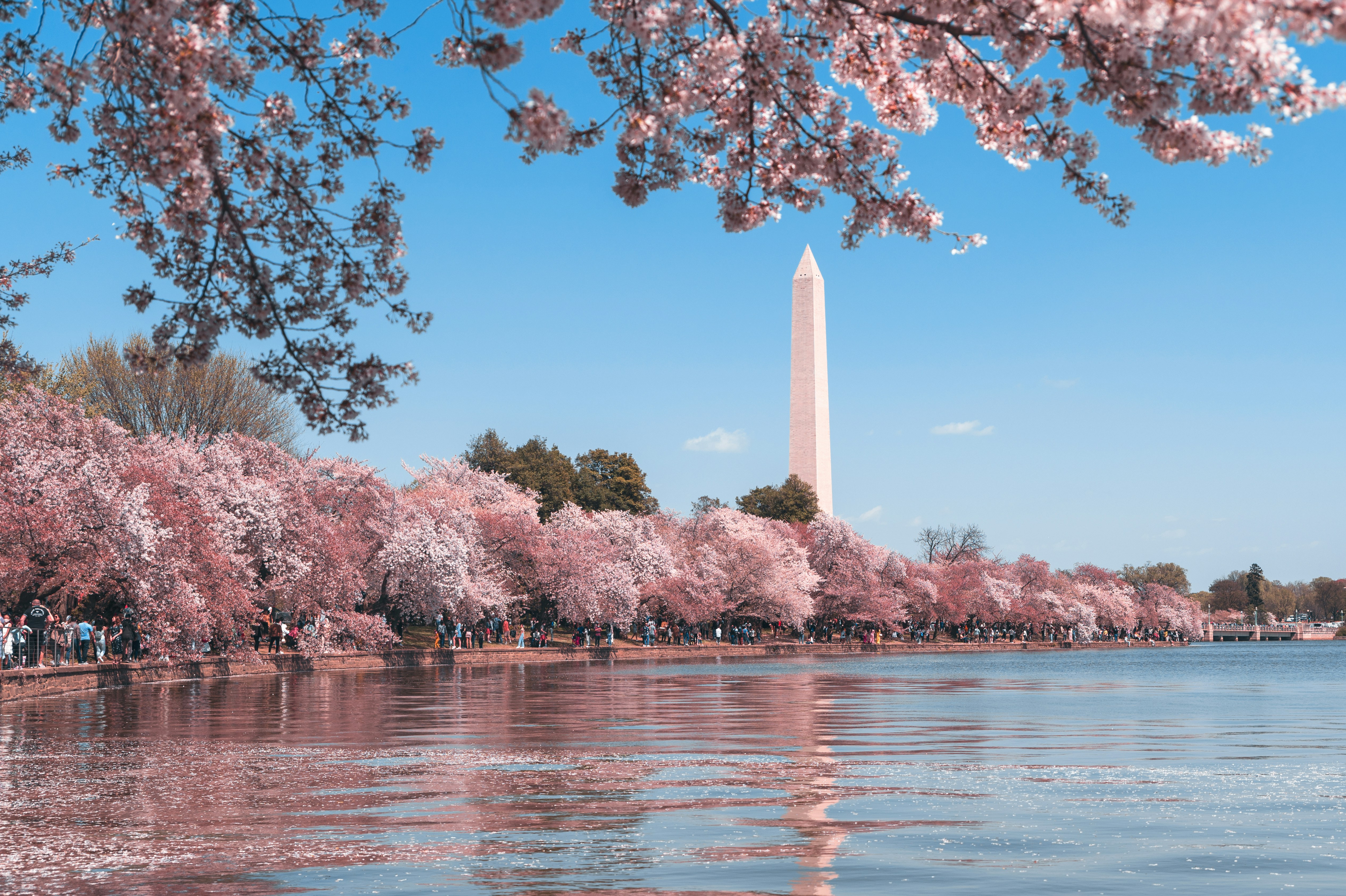 DC — DC sales tax guide